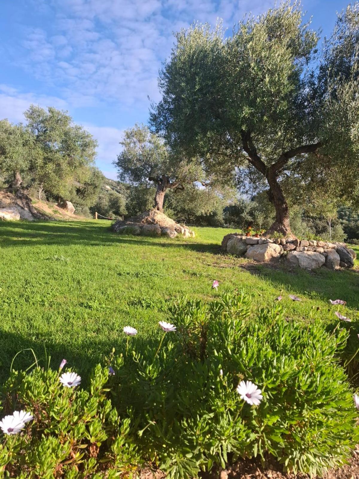 Hacienda Molino Nuevo Villa Algodonales Exteriör bild